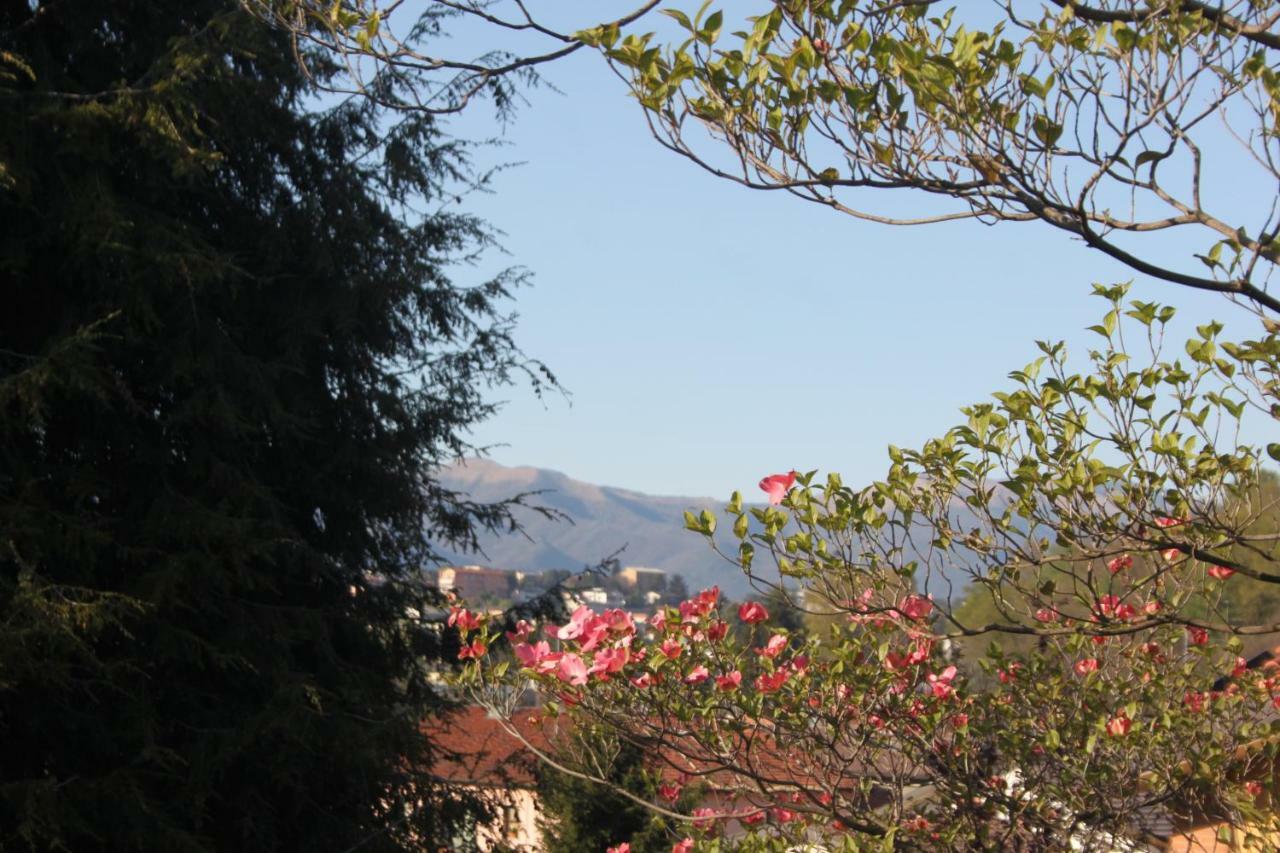 Villa Onorina Carimate Bagian luar foto